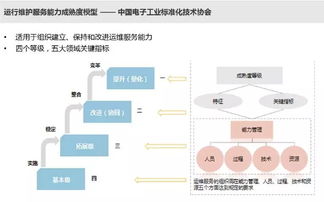 IT運(yùn)維服務(wù)能力成熟度評(píng)估與信息系統(tǒng)集成服務(wù)研究