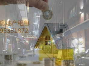 打造餐飲文化教育生活服務(wù)一體化精品社區(qū)商業(yè)街，上海商鋪轉(zhuǎn)讓新機遇
